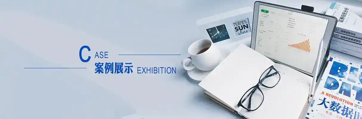 费县软件开发